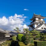 【寒い時期に】冬の高知県を彩る絶景と風物詩