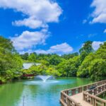 【住みたい街】吉祥寺の美味しさを味わう！外せないごはん屋さんガイド
