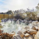 【源泉かけ流し！】中部・東海地方の一生に一度の濁り湯体験スポット