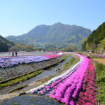 【ファミリーでもソロでも】都会で楽しむ！仙台青葉山ハイキングガイド