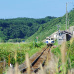 【秘境だもの熊もいるよ】ローカル鉄道旅行のリスク管理：熊出没エリアでの安全対策