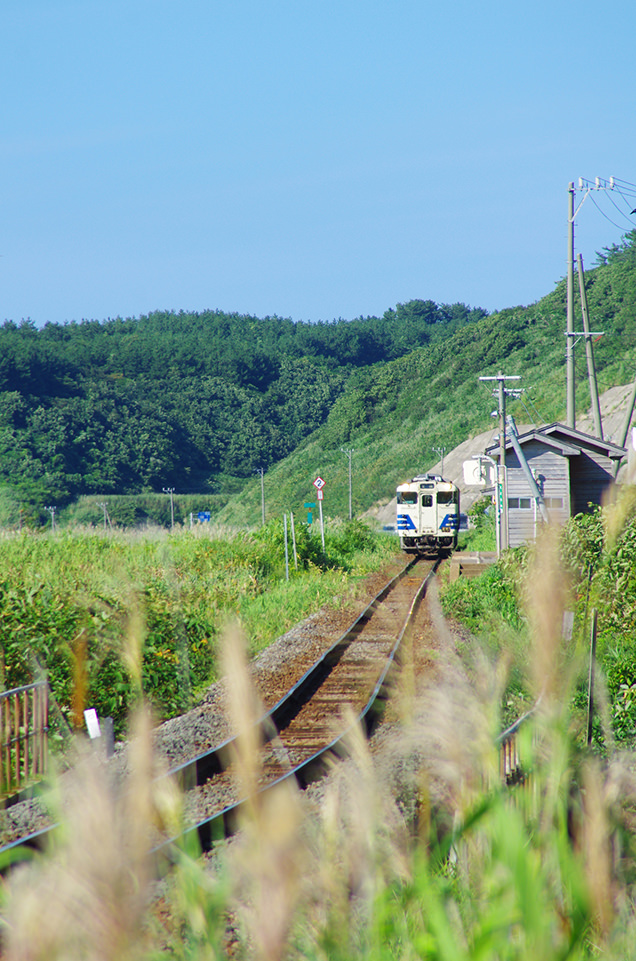 【秘境だもの熊もいるよ】ローカル鉄道旅行のリスク管理：熊出没エリアでの安全対策