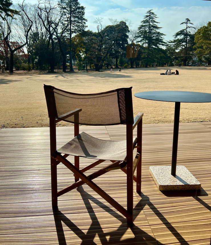 【ひとりで楽しむ】春の花見から秋の紅葉まで！都内近郊の「ひとリート」体験ガイド