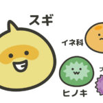 【次はヒノキですよ】スギ花粉飛散の折り返し地点：2025年春のヒノキ花粉について