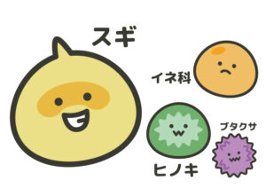 【次はヒノキですよ】スギ花粉飛散の折り返し地点:2025年春のヒノキ花粉について