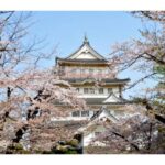 【3月イベント】桜と美食の共演：亥鼻公園での千葉城さくら祭りレポート