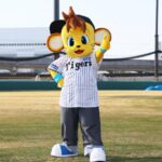 【新登場】阪神2軍の新拠点と新マスコット「コラッキー」、美味しい虎風荘カレーをご紹介