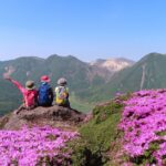 【関西日帰り登山】須磨アルプスをのんびり：自然の中でランチを楽しもう