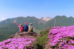 【関西日帰り登山】須磨アルプスをのんびり：自然の中でランチを楽しもう