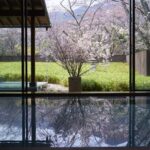 【季節限定】言葉を失う美景！心に残るお花見温泉の旅に出ませんか？