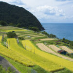 【地域活性化】地域の魅力を再発見！「光る君へ」ロケーションジャパン大賞受賞の裏側