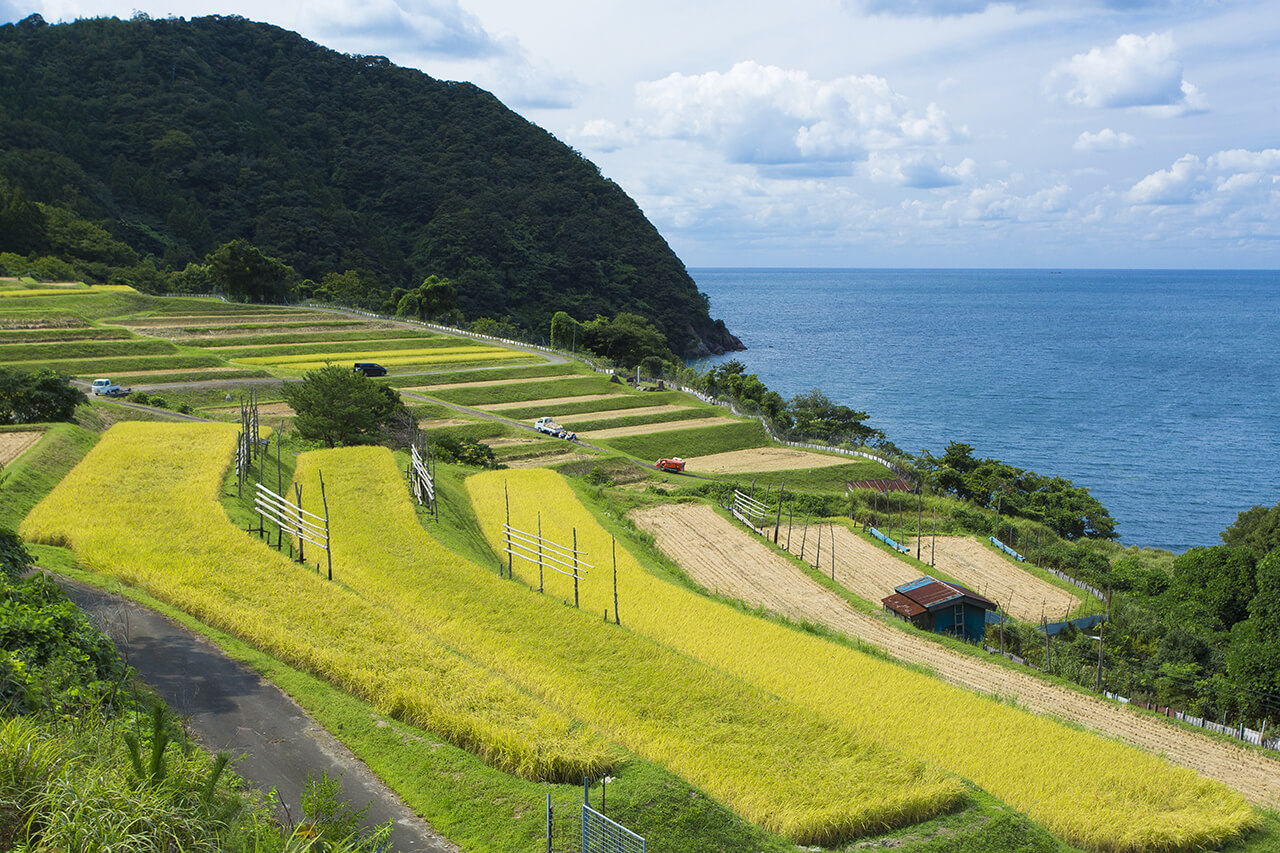 【地域活性化】地域の魅力を再発見!「光る君へ」ロケーションジャパン大賞受賞の裏側