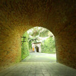 【横須賀の秘境】自然と歴史が融合する日本遺産トンネルの静寂