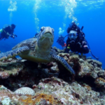 【実務修習地の選び方】運次第の実務修習地！テレビ局や自衛隊、離島訪問の驚きの体験