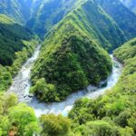 【しだれ桜と絶景が交差する】徳島県の秘宝！絶景穴場スポット