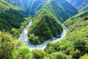 【しだれ桜と絶景が交差する】徳島県の秘宝！絶景穴場スポット