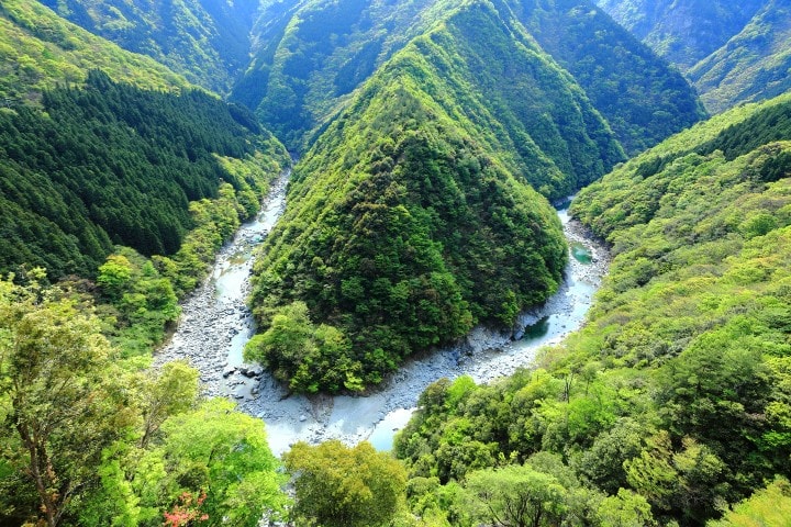【しだれ桜と絶景が交差する】徳島県の秘宝！絶景穴場スポット
