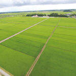 【アクセス抜群】成田空港近くの多古町で見つけたインスタ映えスポットまとめ