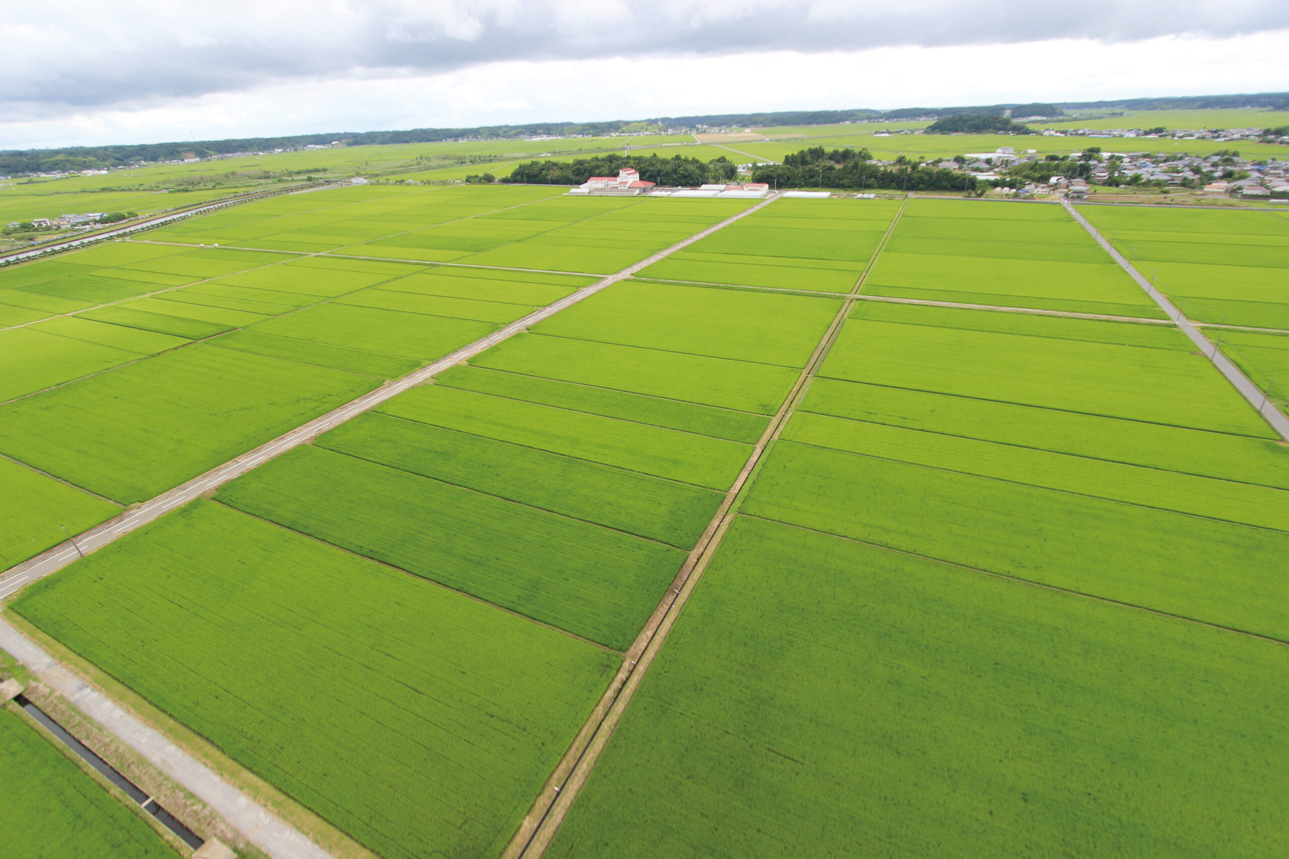 【アクセス抜群】成田空港近くの多古町で見つけたインスタ映えスポットまとめ
