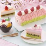 【桜満開】春の味覚を楽しもう！桜スイーツとお花見グルメガイド