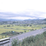 【里山さんぽ】睡魔を誘う美しい秘境：寝ぐせみたいな山と姫子沢の不思議な里山散歩