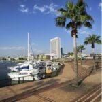 【堺旧港が変わる】宿泊やイルカ触れ合いが楽しめる大阪・関西万博がもたらす新しい旅の形