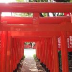 【電車で行ける不思議体験】住宅街に現れた衝撃の光景！藤沢の最恐大鳥居を探しに行こう