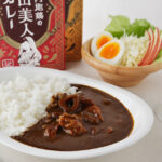 【大人のお取り寄せ】人気の御当地カレー：フルーツカレーと秋田美人納豆キーマカレー
