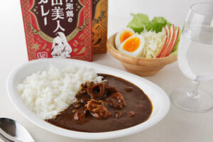 【大人のお取り寄せ】人気の御当地カレー：フルーツカレーと秋田美人納豆キーマカレー