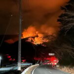 【復興の味】愛された調味料「酢の素」とともに！名古屋で味わうご当地グルメ