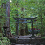 【雨の日は花を愛でよう】横浜のアジサイスポット！梅雨に訪れたい絶景まとめ