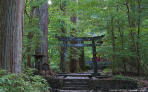 【伝説のガイド直伝】日光東照宮の秘密：願いが叶う最強パワースポットの真実