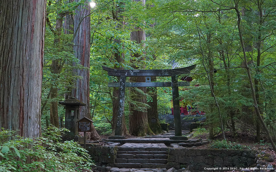 【雨の日は花を愛でよう】横浜のアジサイスポット！梅雨に訪れたい絶景まとめ