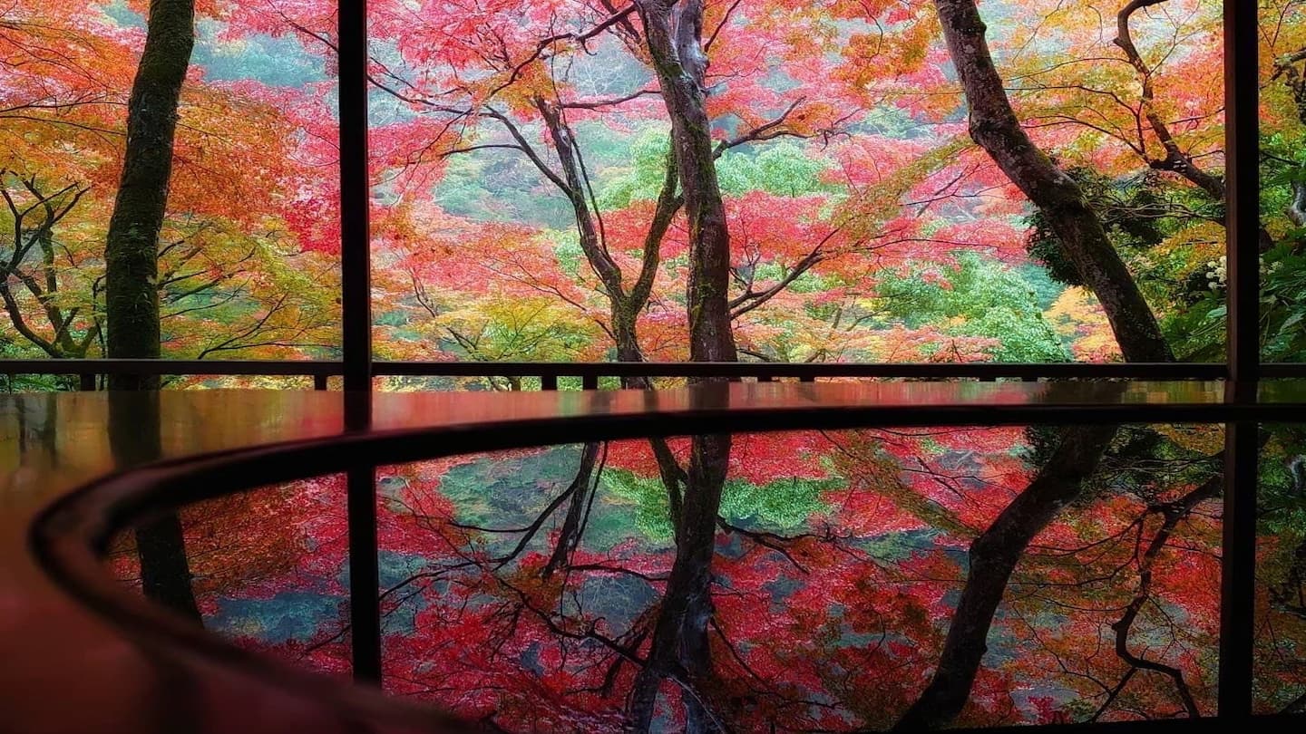 【穴場観光スポット！】グルメと自然が楽しめる！穴場観光スポット特集