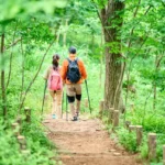 【低山なのに】低山ハイキングの危険性と安全対策：なぜ事故が起きるのか？