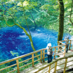 【青森を知る！】5万人フォロワーの医学部カップルの素顔と初公開インタビュー