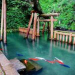 【おすすめグルメ】日本2周ライダーが教える茨城のグルメ＆ツーリングスポット