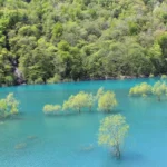 【エネルギーをもらう！】秋田・秋扇湖の水没林と新緑の癒やし旅