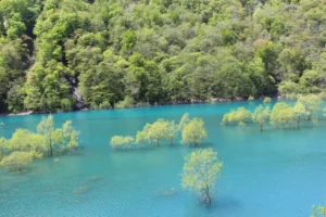 【秘境の風景】秘境ドライブの旅：ハート型の湖の絶景を探そう！