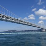 【ワカメの秘密】鳴門の海から畑へ！ワカメの根っこでジャガイモ栽培に挑戦