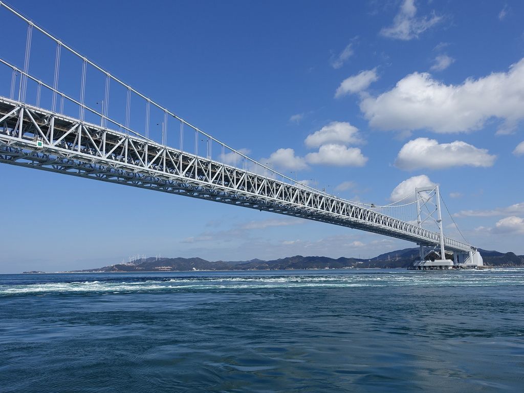 【ワカメの秘密】鳴門の海から畑へ！ワカメの根っこでジャガイモ栽培に挑戦