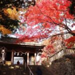 【千年の歴史】新緑の中で唐沢山神社と古城跡の散策ガイド