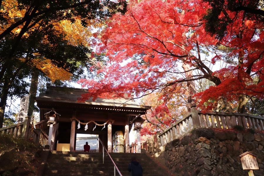 【千年の歴史】新緑の中で唐沢山神社と古城跡の散策ガイド