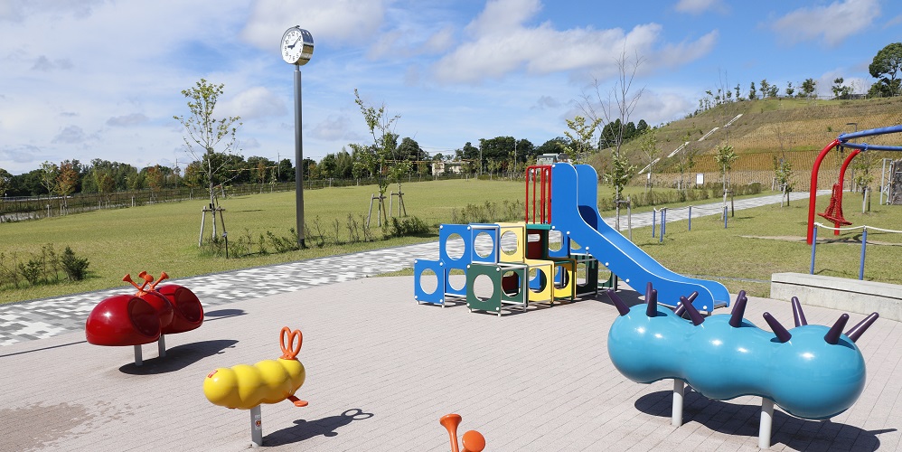 【結婚できない理由？】東日本・西日本の人口比を考える：未婚人口の男女差と影響