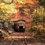 【廃線マニア集れ！】埼玉県秩父市の森林鉄道を巡る旅：廃線跡から見える昔