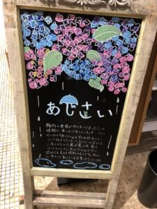 【雨だけど出かけよう】大阪・長居植物園で楽しむ雨の日のあじさいフェア