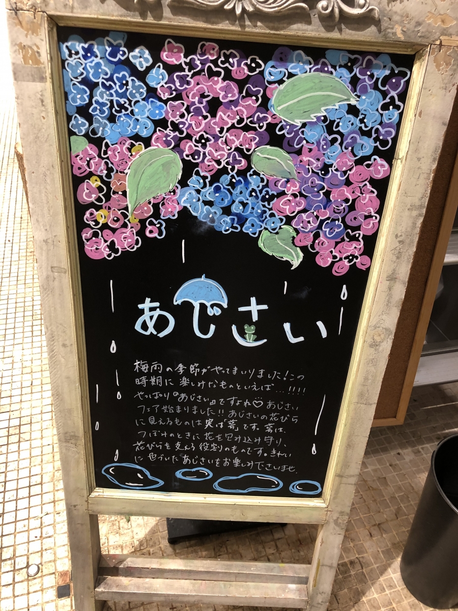 【雨だけど出かけよう】大阪・長居植物園で楽しむ雨の日のあじさいフェア