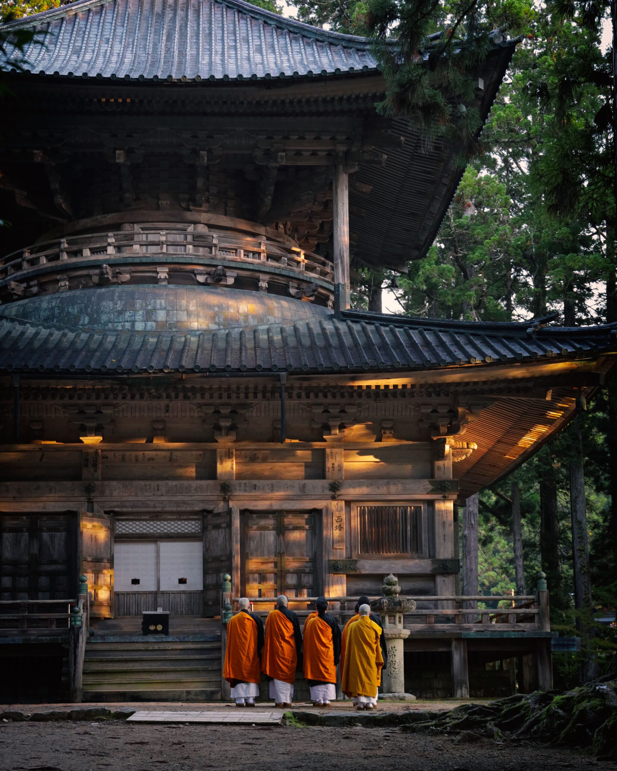 【高野山エリア】高野町の歴史探訪:千年前の寺院で感じる五感の旅
