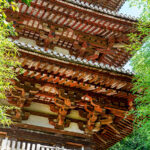 【あじさいパワースポット】五感で楽しむ當麻寺の魅力〜パワースポットを巡る旅〜