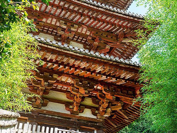 【あじさいパワースポット】五感で楽しむ當麻寺の魅力〜パワースポットを巡る旅〜